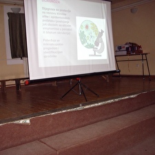 DSCI0192.jpg